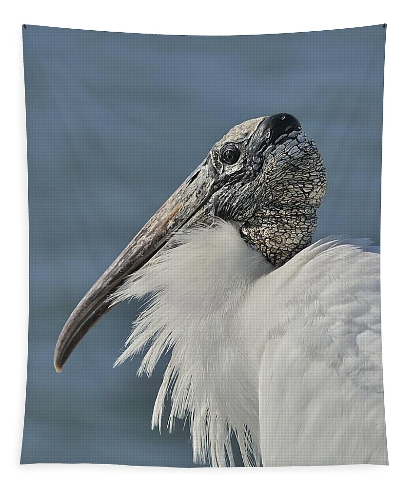 Wood Stork Tapestry featuring the photograph Wood Stork Portrait by Bradford Martin