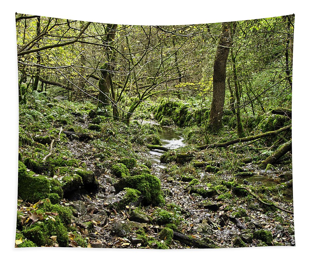 Bright Tapestry featuring the photograph Woodland in Northern End of Monksdale by Rod Johnson