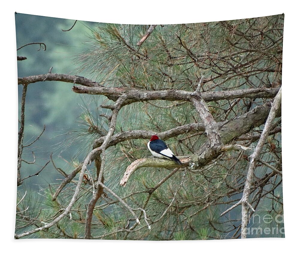 Woodpecker Tapestry featuring the photograph Woodpecker by Joseph Baril