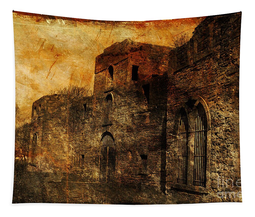 Castle Tapestry featuring the photograph Workington Hall by Randi Grace Nilsberg