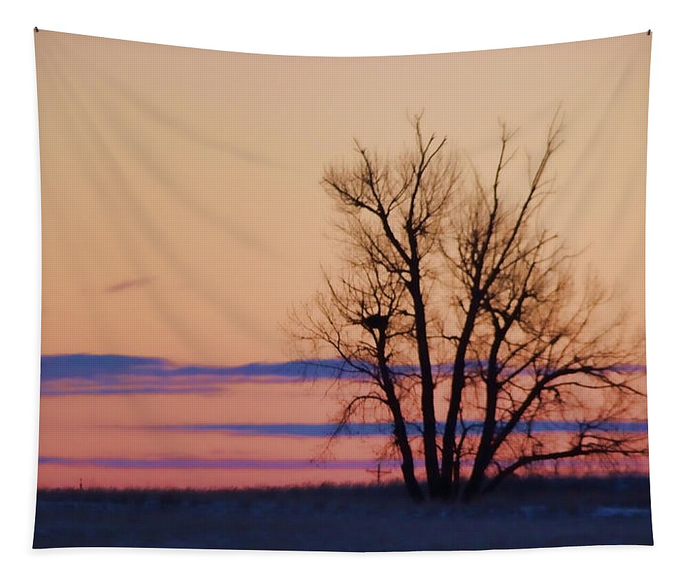 Silhouette Tapestry featuring the photograph Wyoming Tree by Cathy Anderson