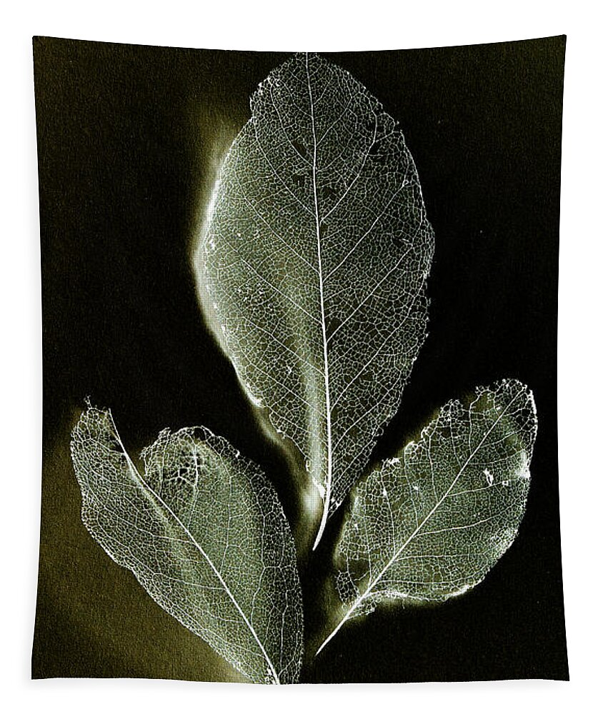 X-ray Leaves Tapestry featuring the photograph X-ray leaves by Weston Westmoreland