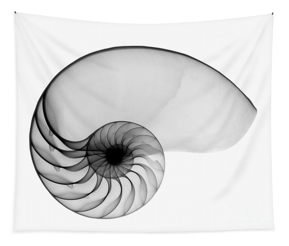 Radiograph Tapestry featuring the photograph X-ray Of Nautilus by Bert Myers