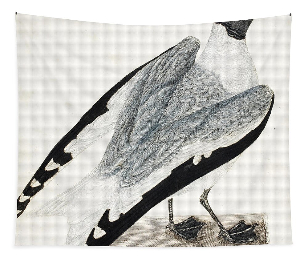 Bird Tapestry featuring the painting Xeme by Thomas Lewin