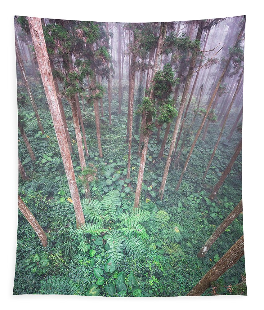 Fern Tapestry featuring the photograph Xi Tou by Alexander Kunz