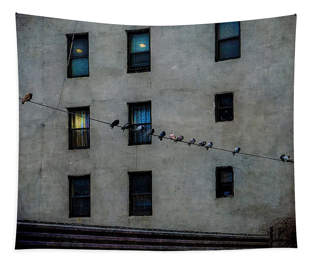 Pigeons Tapestry featuring the photograph Yardbirds by Chris Lord