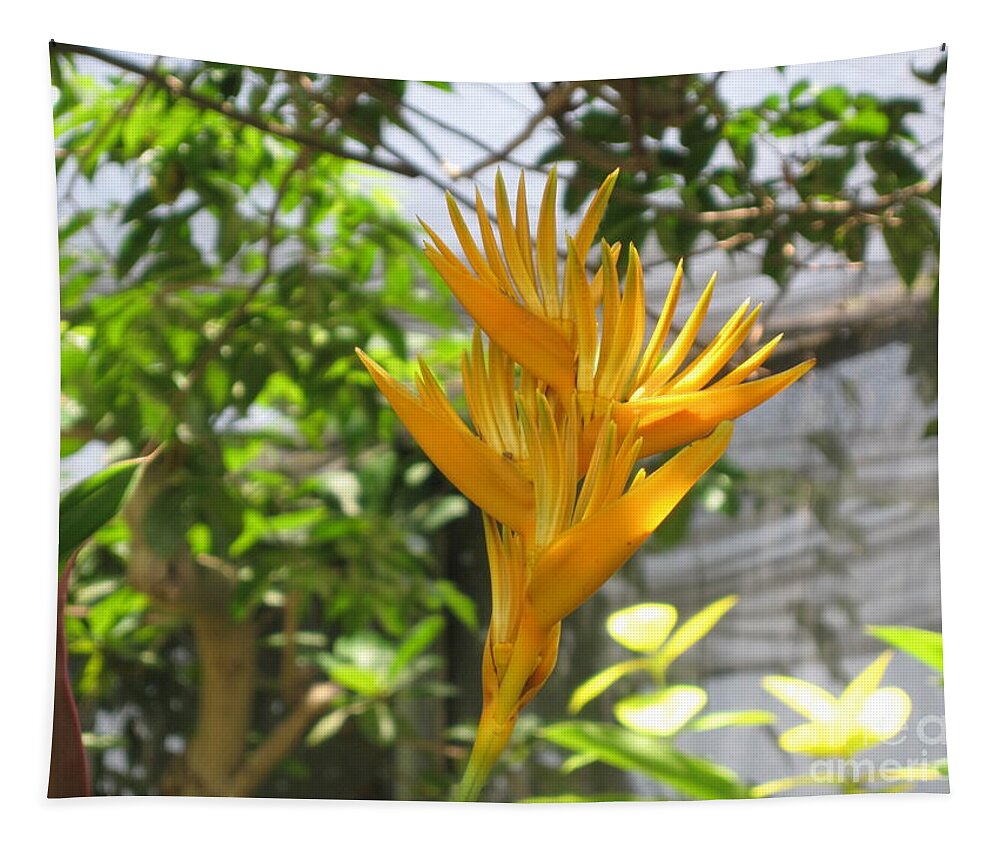 Yellow Bird Of Paradise Tapestry featuring the photograph Yellow Bird of Paradise by HEVi FineArt