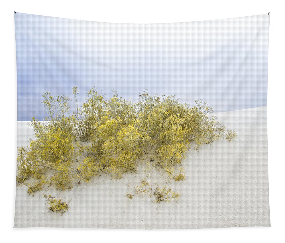 White Sands Tapestry featuring the photograph Yellow Desert flower at White Sands by Jean Noren