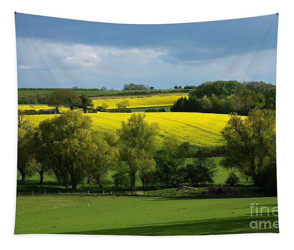 Yellow Tapestry featuring the photograph Yellow Fields in the Sun by Jeremy Hayden