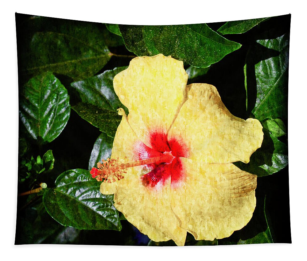 Yellow Hibiscus Tapestry featuring the photograph Yellow Hibiscus by Crystal Wightman