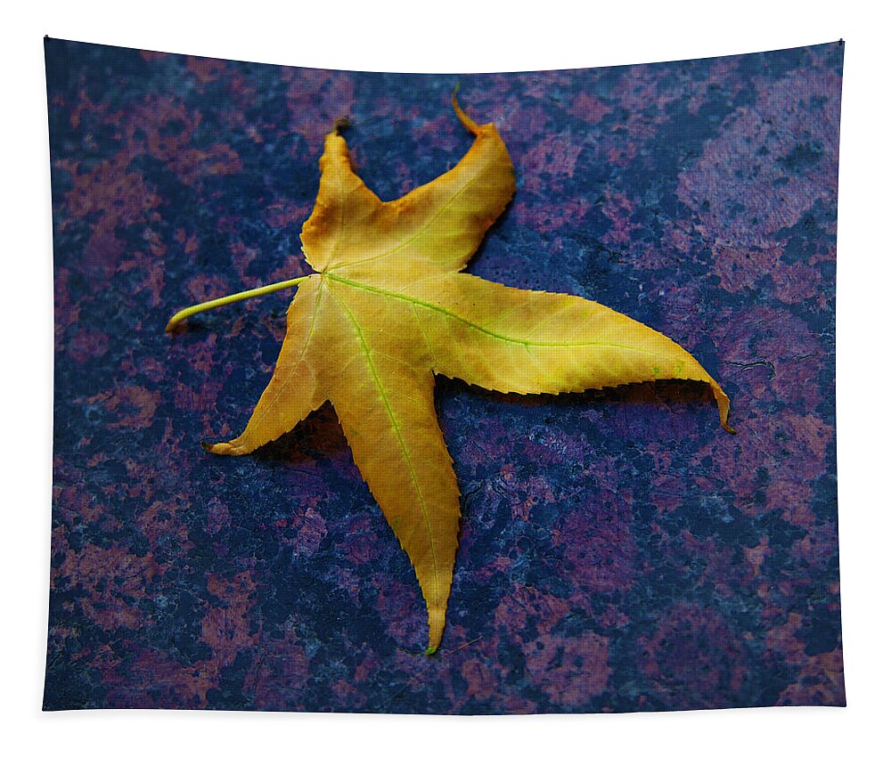 Leaf Image Posters Tapestry featuring the photograph Yellow Leaf On Marble by David Davies