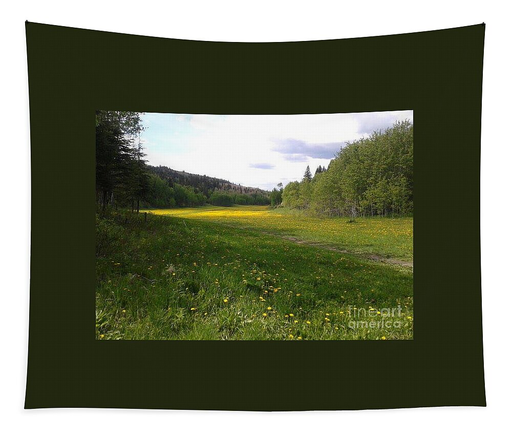 Meadow Tapestry featuring the photograph Yellow Meadow by Vivian Martin