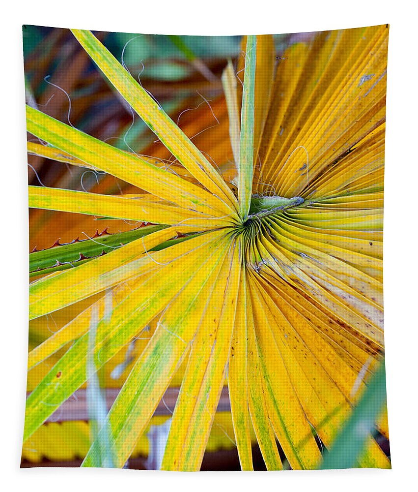 Leaf Tapestry featuring the photograph Yellow Palm 1 by Stephen Anderson