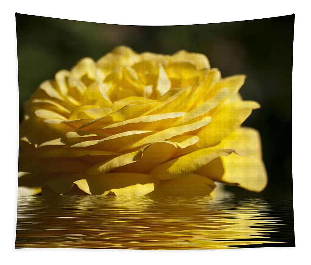 Yellow Rose Tapestry featuring the photograph Yellow Rose Flood by Steve Purnell