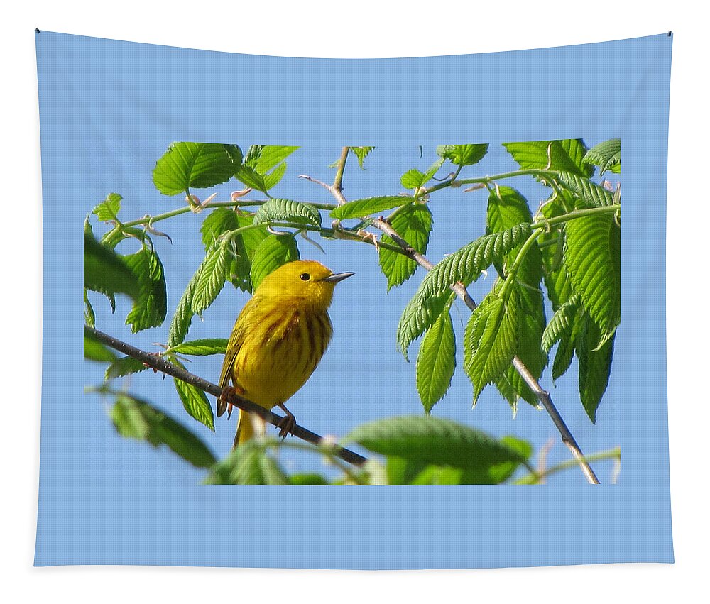 Yellow Warbler Tapestry featuring the photograph Yellow Warbler by Ann Bridges