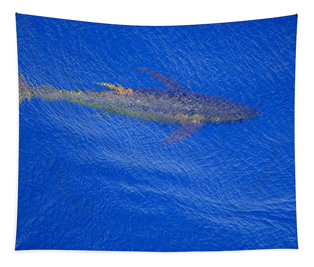 Yellowfin Tapestry featuring the photograph Yellowfin tuna alongside by Bradford Martin