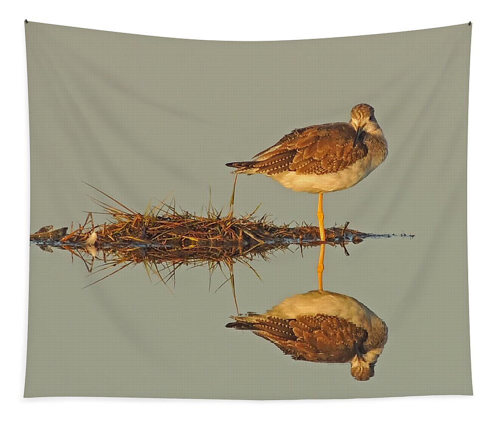 Nature Tapestry featuring the photograph Yellowlegs Sandpiper by Robert Mitchell