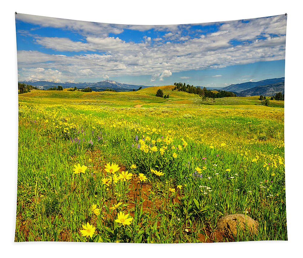 Yellowstone Tapestry featuring the photograph Yellowstone Blacktail Plateau by Greg Norrell