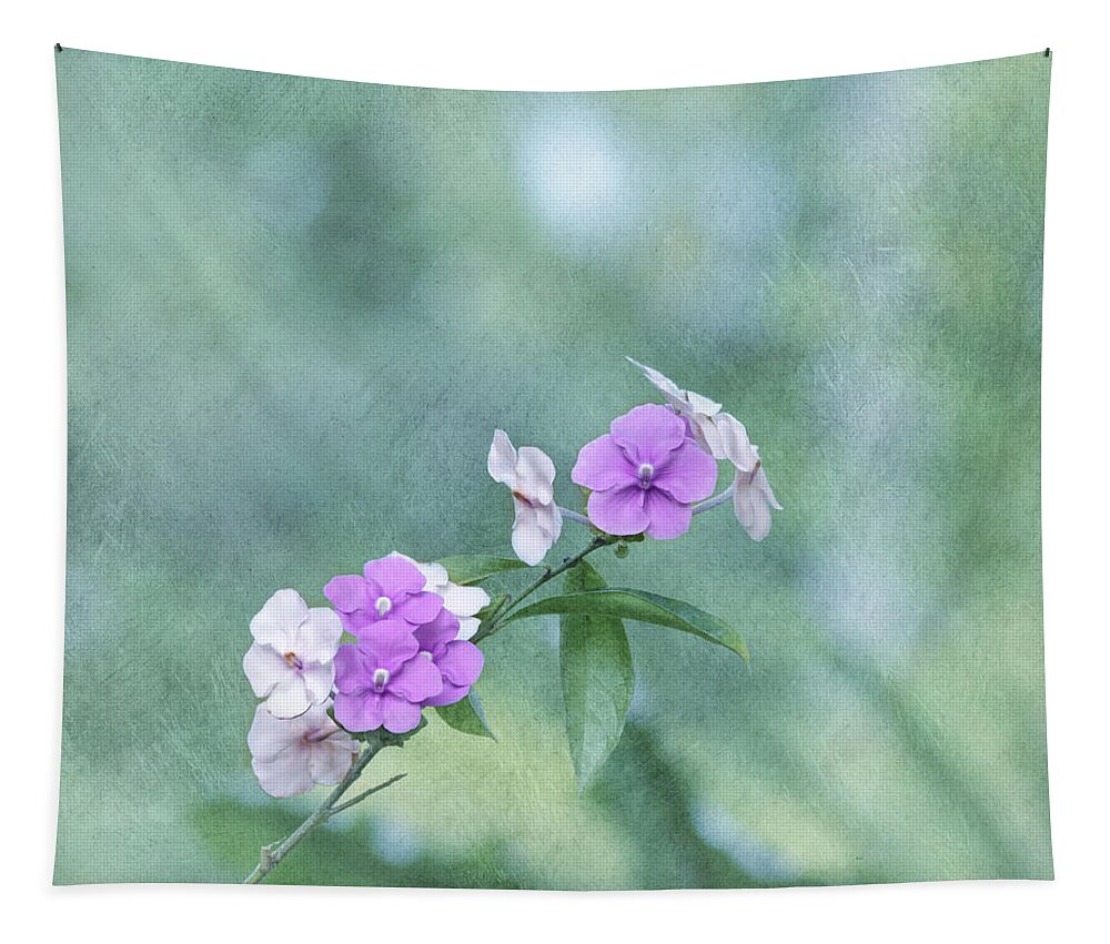 Flower Tapestry featuring the photograph Yesterday Today and Tomorrow by Kim Hojnacki