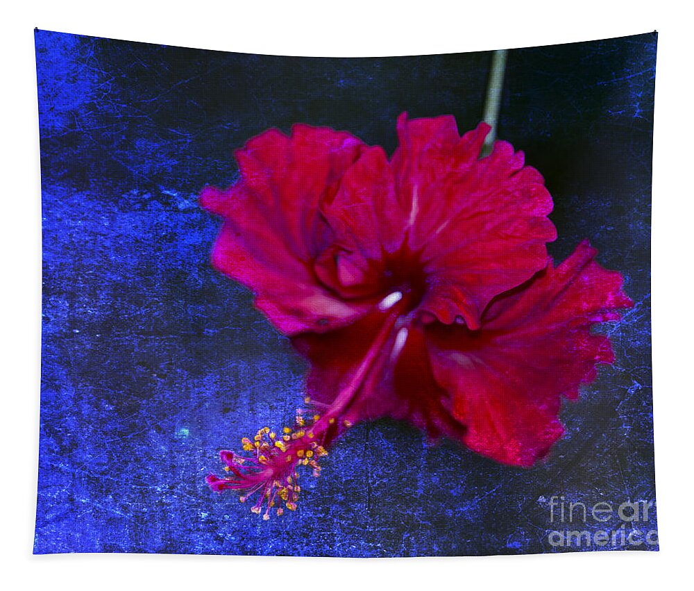 Hawaii Rose Tapestry featuring the photograph Young Passion... by Nina Stavlund