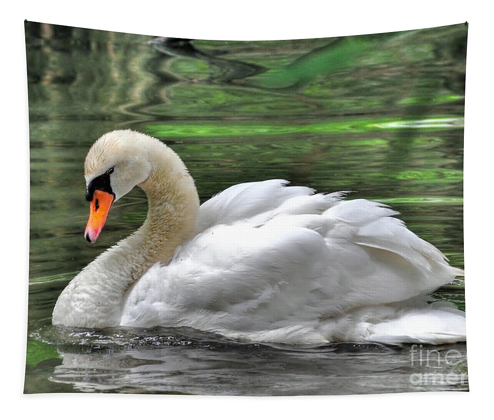 Birds Tapestry featuring the photograph Young Swan by Kathy Baccari