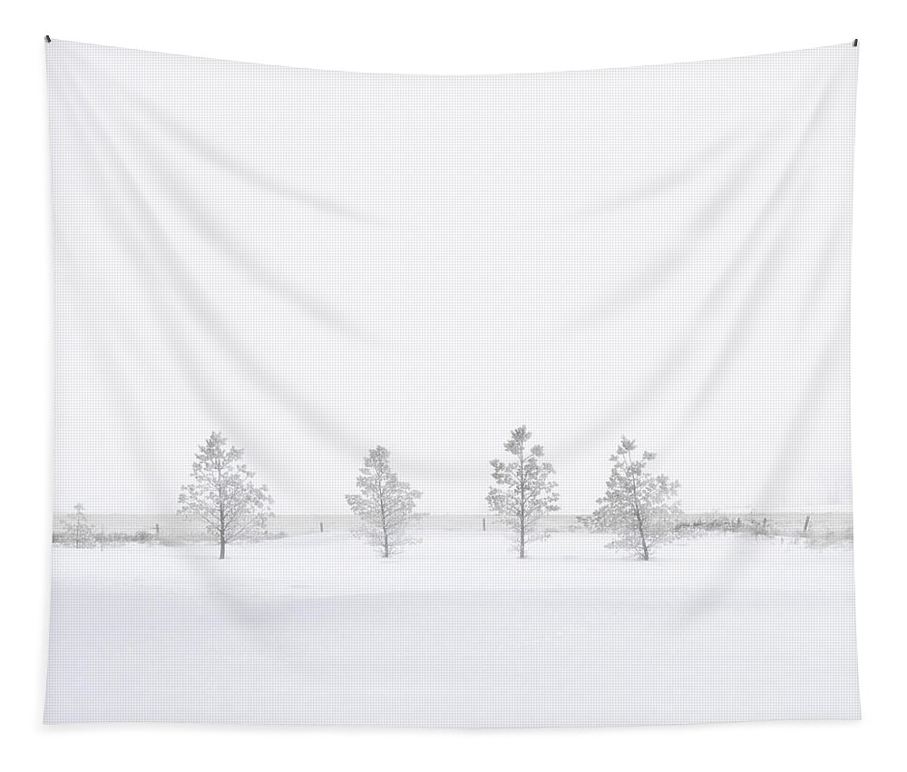 Winter Tapestry featuring the photograph You're Hardly There by Sandra Parlow