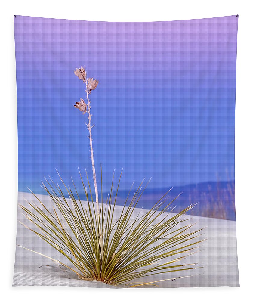 Yucca Tapestry featuring the photograph Yucca Pink and Blue by Kristal Kraft