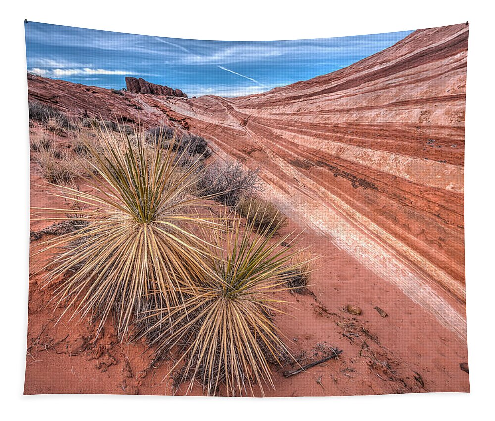 Canyon Tapestry featuring the photograph Yucca Valley by Peter Tellone