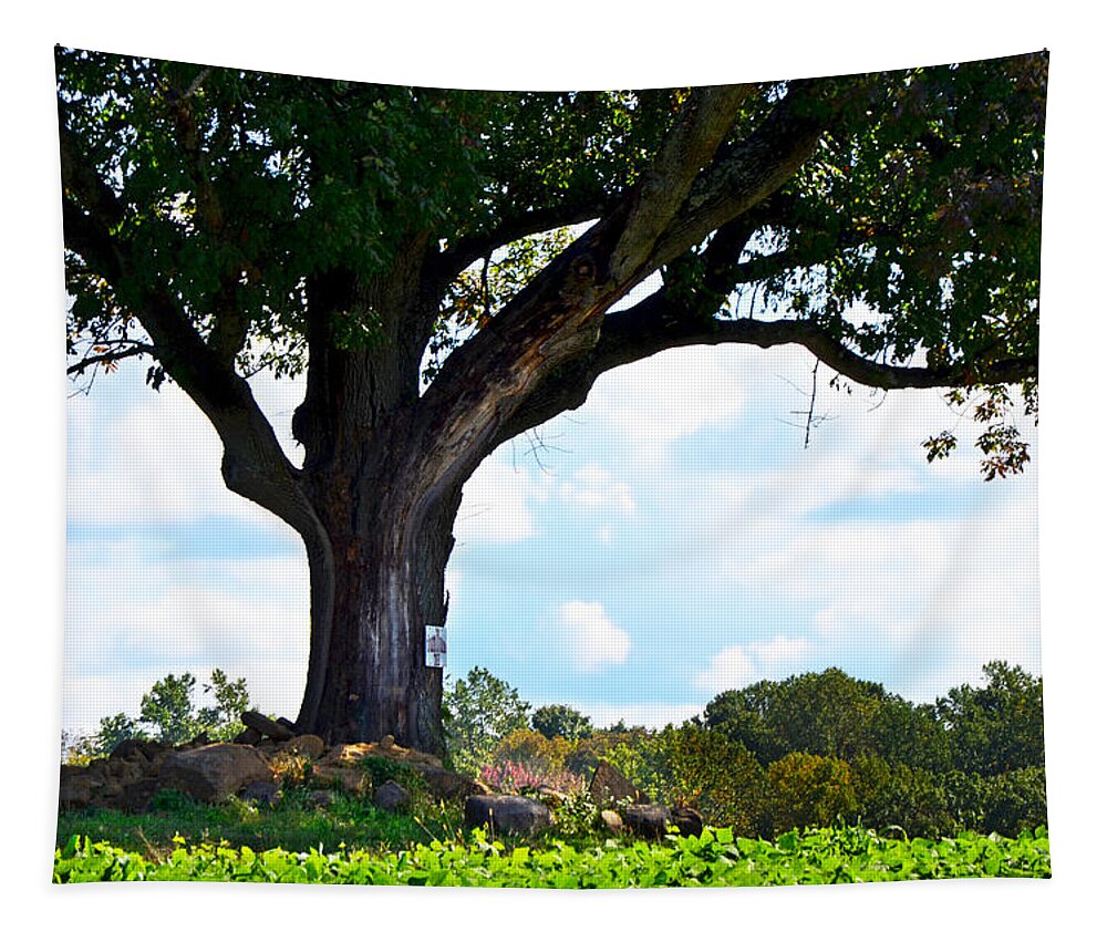 Alstede Farm Tapestry featuring the photograph Yum Yum Tree by Maureen E Ritter
