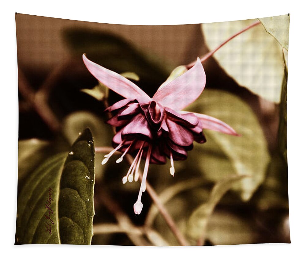 Flower Tapestry featuring the photograph Antiqued Fuchsia #1 by Jeanette C Landstrom