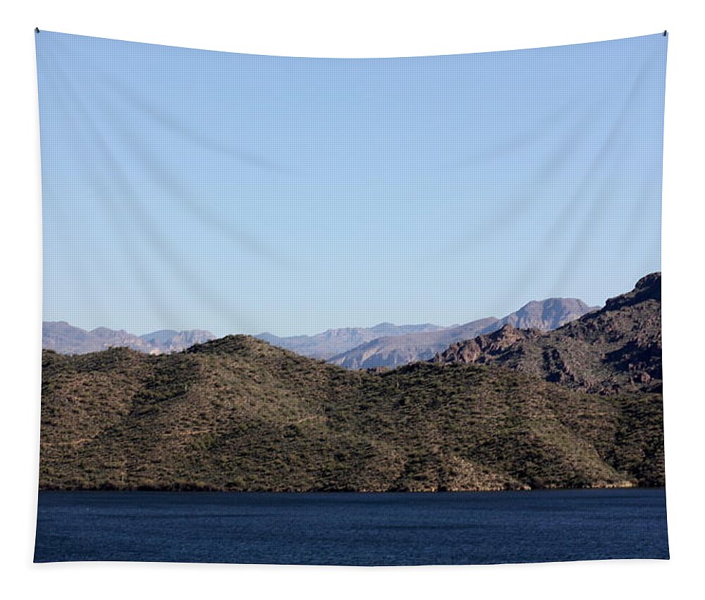 Sagouro Tapestry featuring the photograph Arizona Landscape by Kim Galluzzo Wozniak