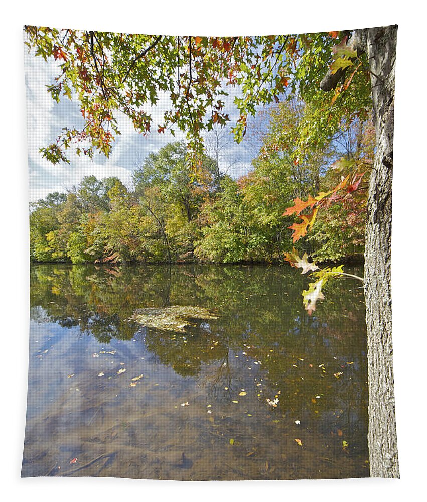 Autumn Tapestry featuring the photograph Autumn Colors on the Canal #1 by David Letts