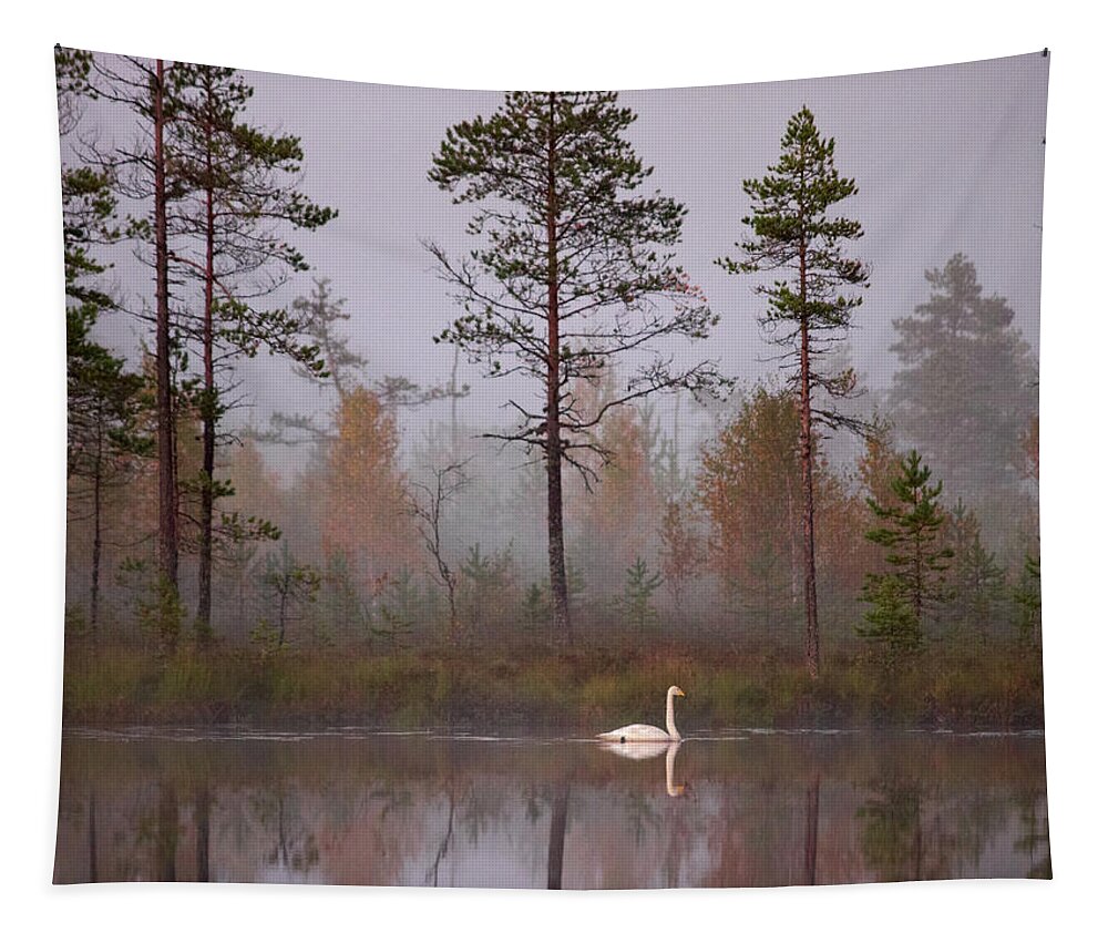 Lehtokukka Tapestry featuring the photograph Autumn #1 by Jouko Lehto