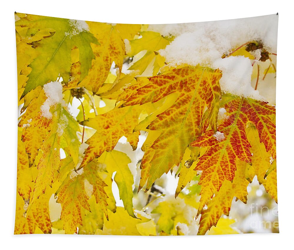 Snow Tapestry featuring the photograph Autumn Snow #1 by James BO Insogna