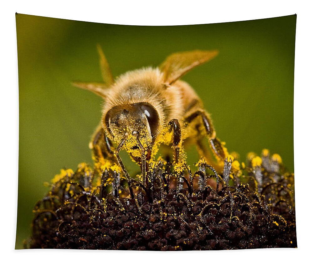 Bee There Tapestry featuring the photograph Bee There #2 by Jean Noren