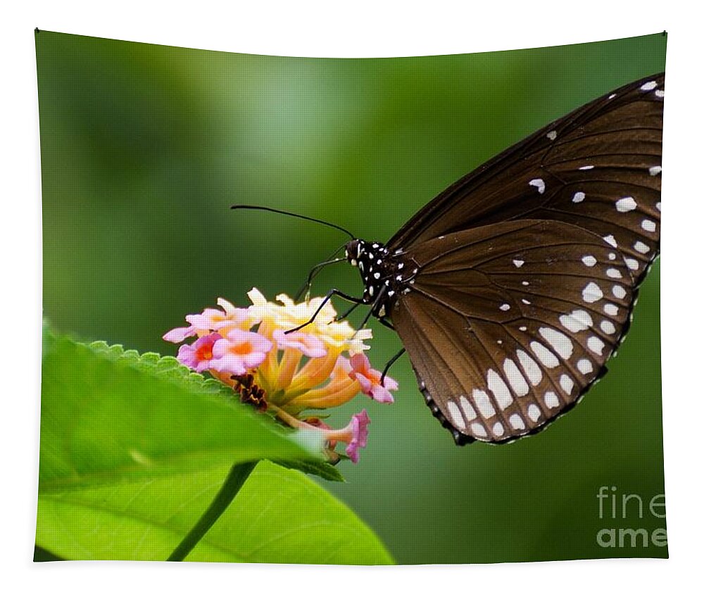 Butterfly Tapestry featuring the photograph Butterfly #1 by Fotosas Photography