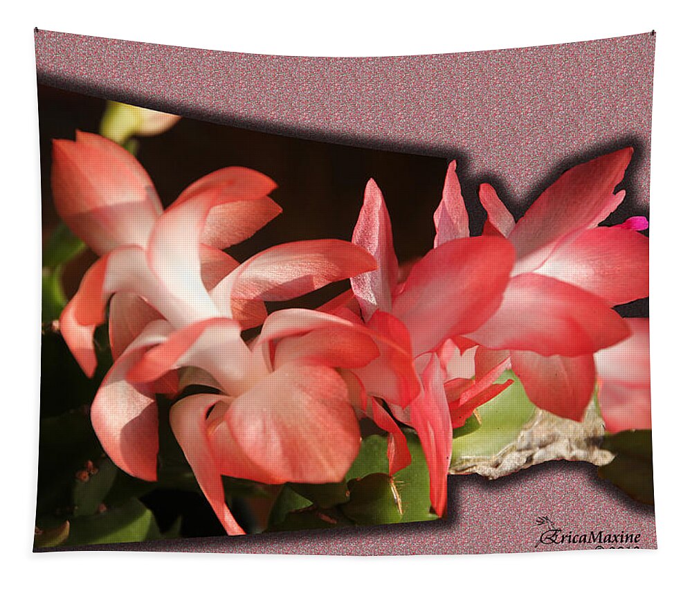 Tn Tapestry featuring the photograph Christmas Cactus #1 by Ericamaxine Price