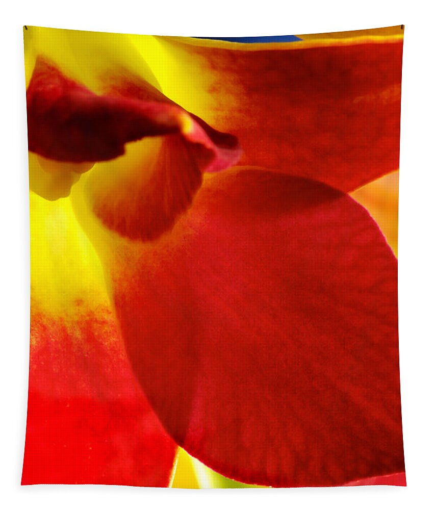 Dendrobium Tapestry featuring the photograph Dendribium malone or Hope orchid Flower #1 by Perla Copernik