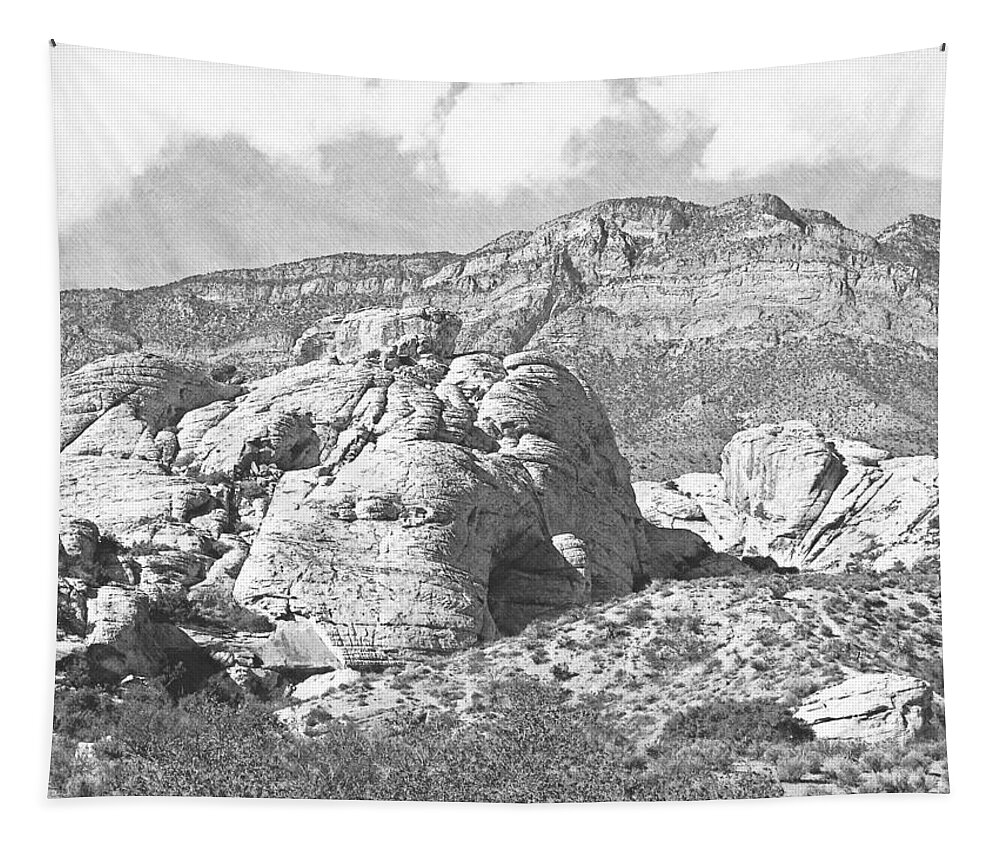 Pencil Tapestry featuring the photograph Desert Hikers #1 by Frank Wilson