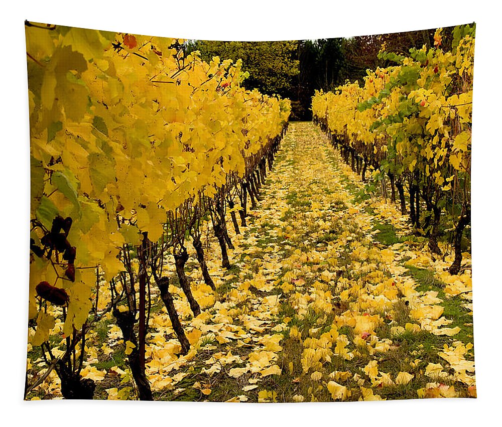 Vineyard Tapestry featuring the photograph Fall in the Vineyard #2 by Jean Noren