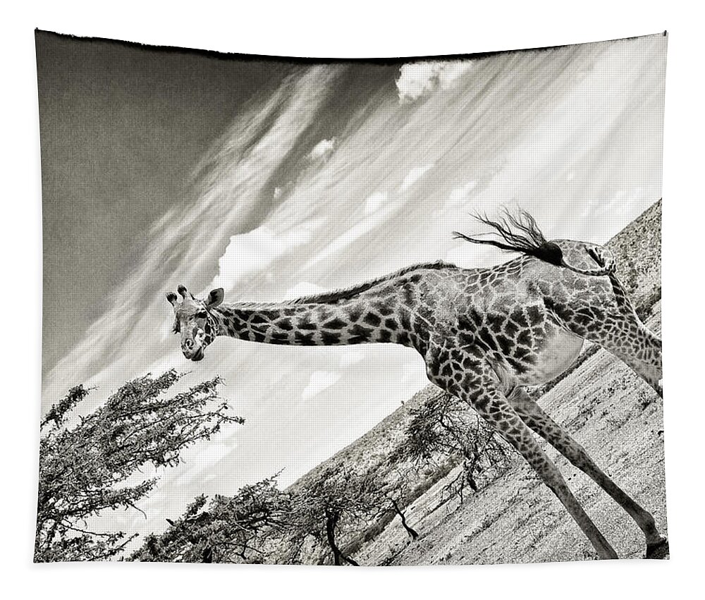 Africa Tapestry featuring the photograph Female Giraffe #2 by Perla Copernik
