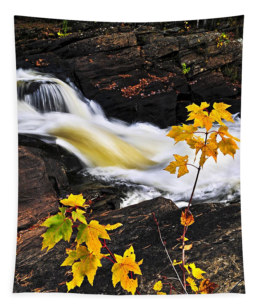 Autumn Tapestry featuring the photograph River flowing through fall forest by Elena Elisseeva