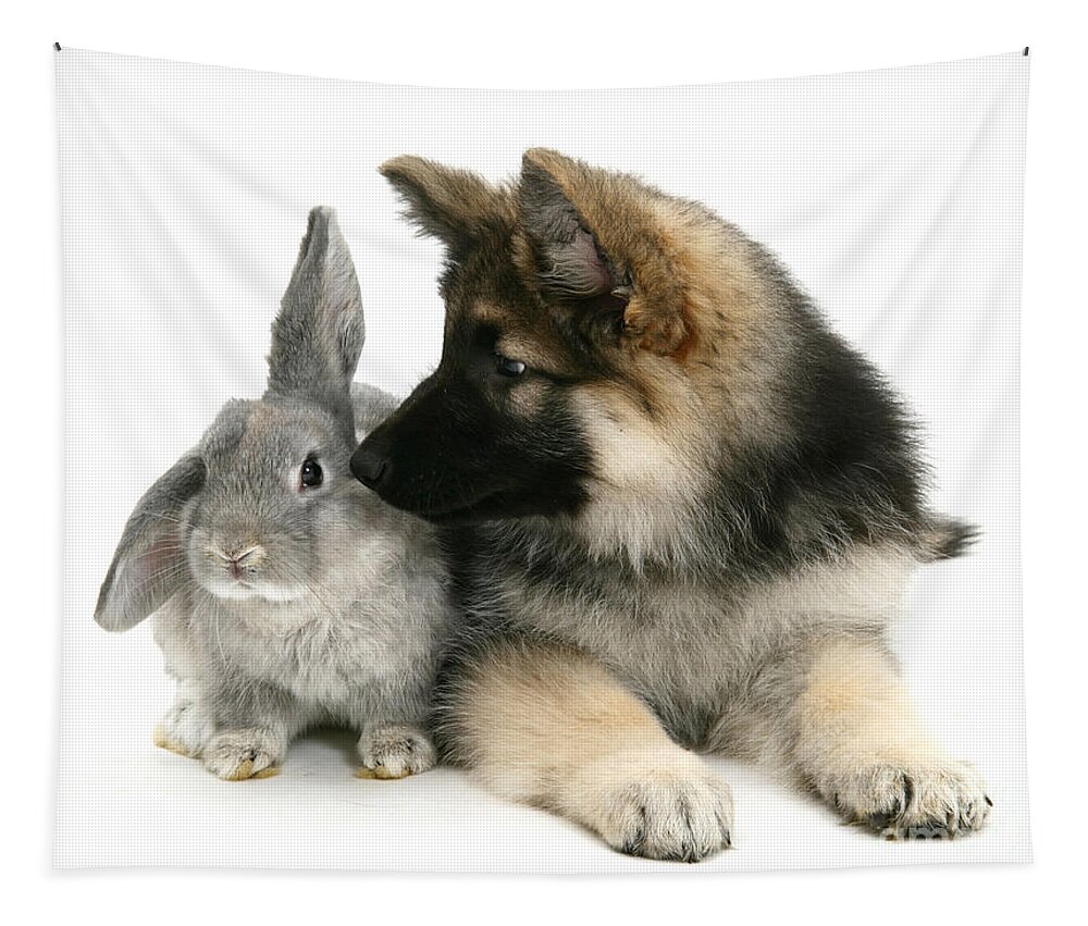 Nature Tapestry featuring the German Shepherd And Rabbit #1 by Mark Taylor