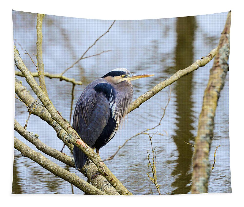 Heron Tapestry featuring the photograph Great Blue Heron #1 by Lawrence Christopher