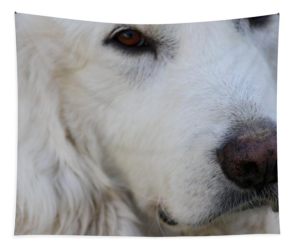 Dog Tapestry featuring the photograph Great Pyrenees #1 by Kim Galluzzo