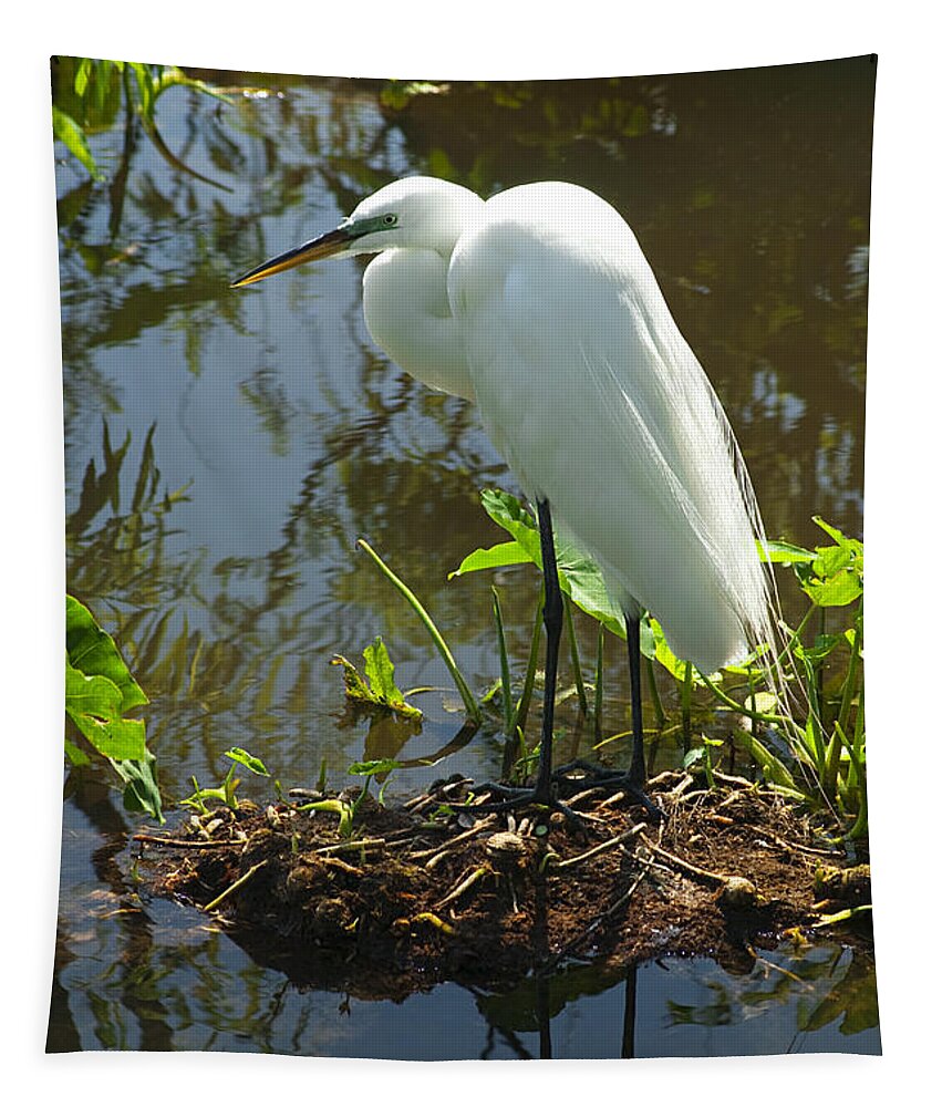 Great White Egret Tapestry featuring the photograph Hiding Place #1 by Carolyn Marshall