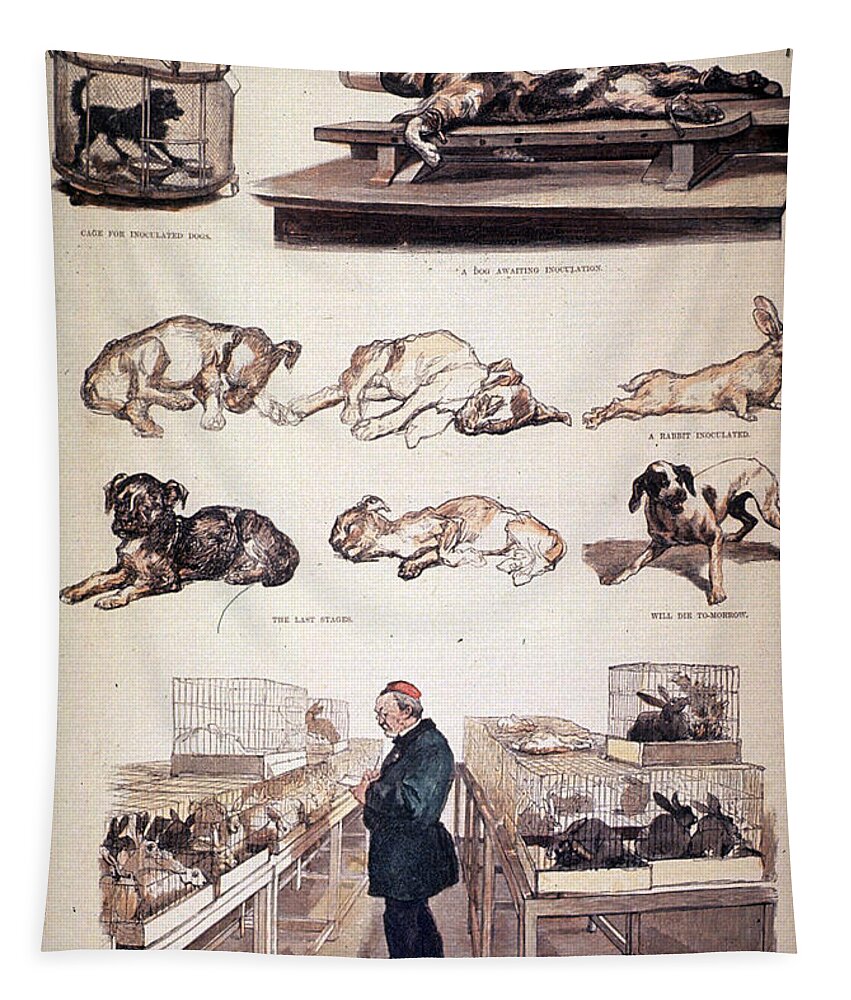 Medicine Tapestry featuring the photograph Louis Pasteur, French Chemist #1 by Science Source