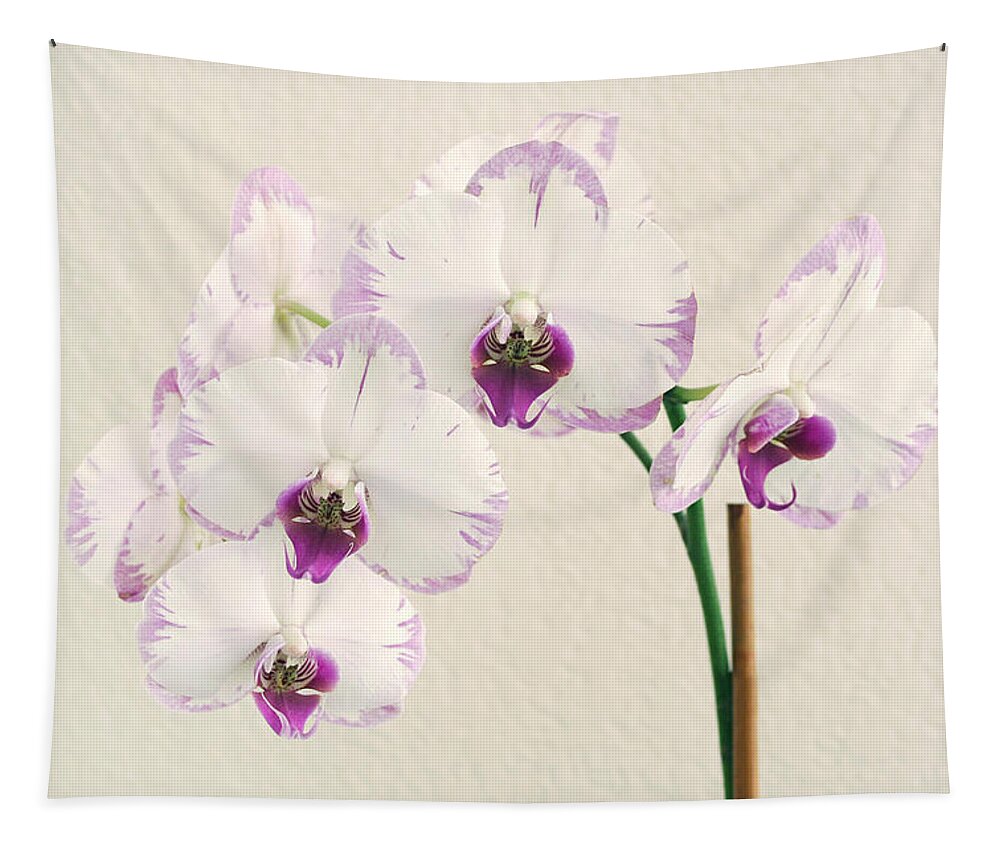 Flower Tapestry featuring the photograph Orchid #1 by Masha Batkova