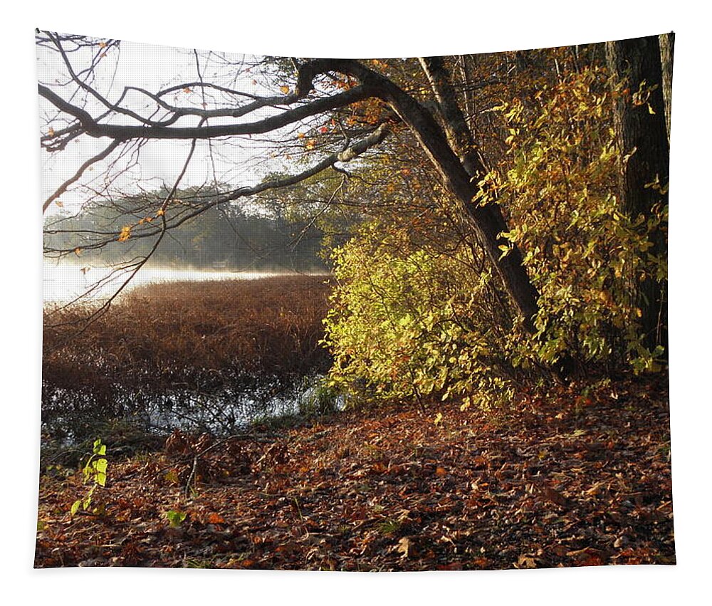 Lake Tapestry featuring the photograph Peaceful #1 by Kim Galluzzo