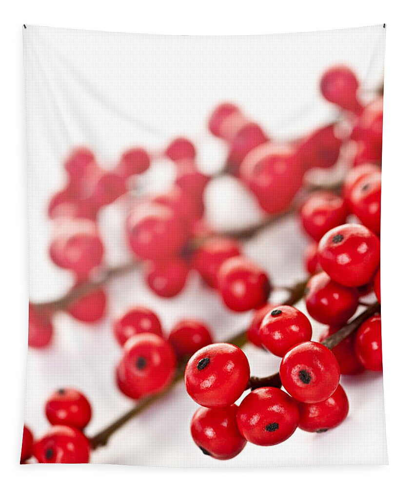 Berries Tapestry featuring the photograph Red Christmas berries 2 by Elena Elisseeva